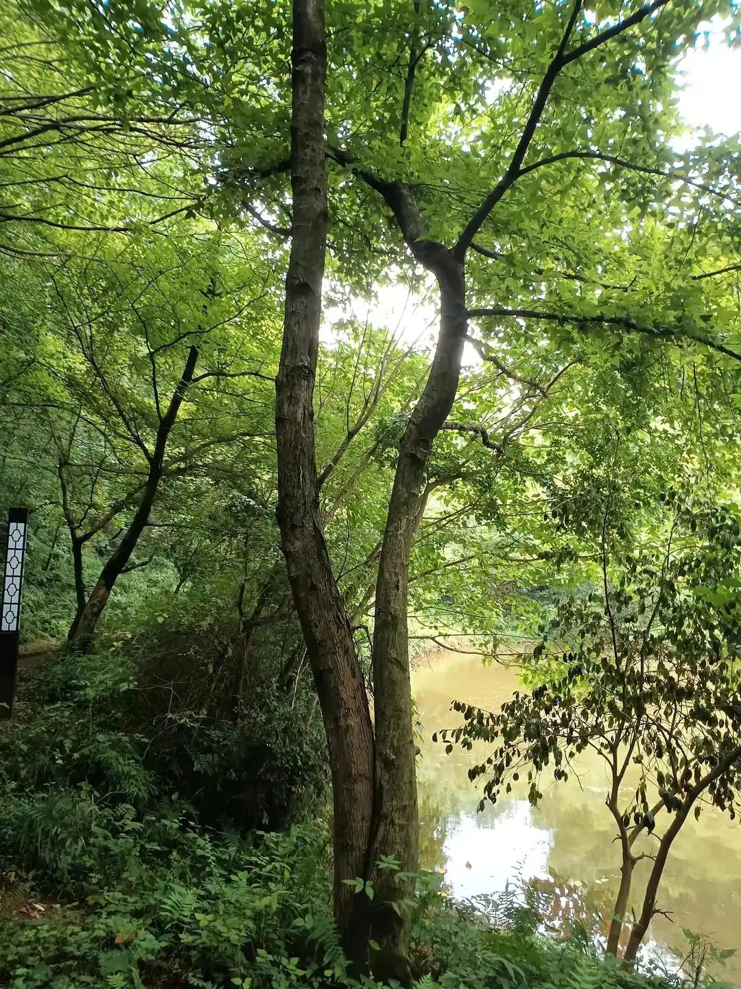 浙东古诗词,浙东唐诗有哪些