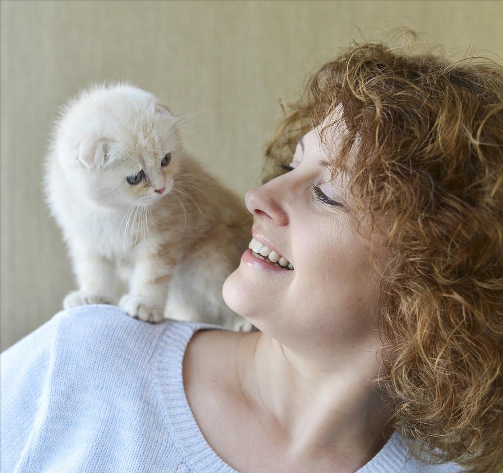 买猫要注意哪几个细节,买猫一般注意哪些问题