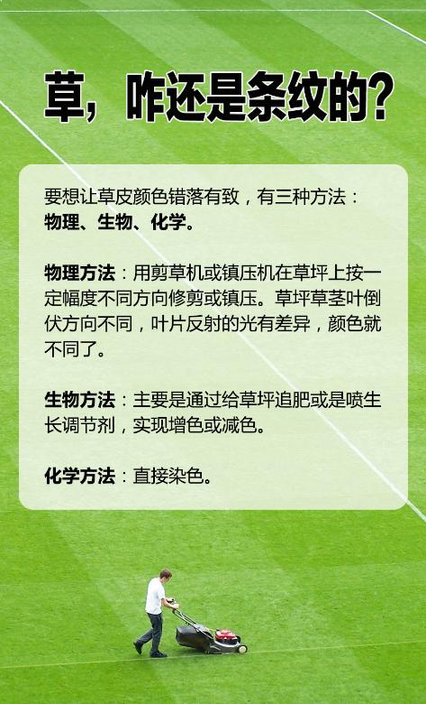 世界杯的草是真草还是假草,世界杯的草地是真的吗