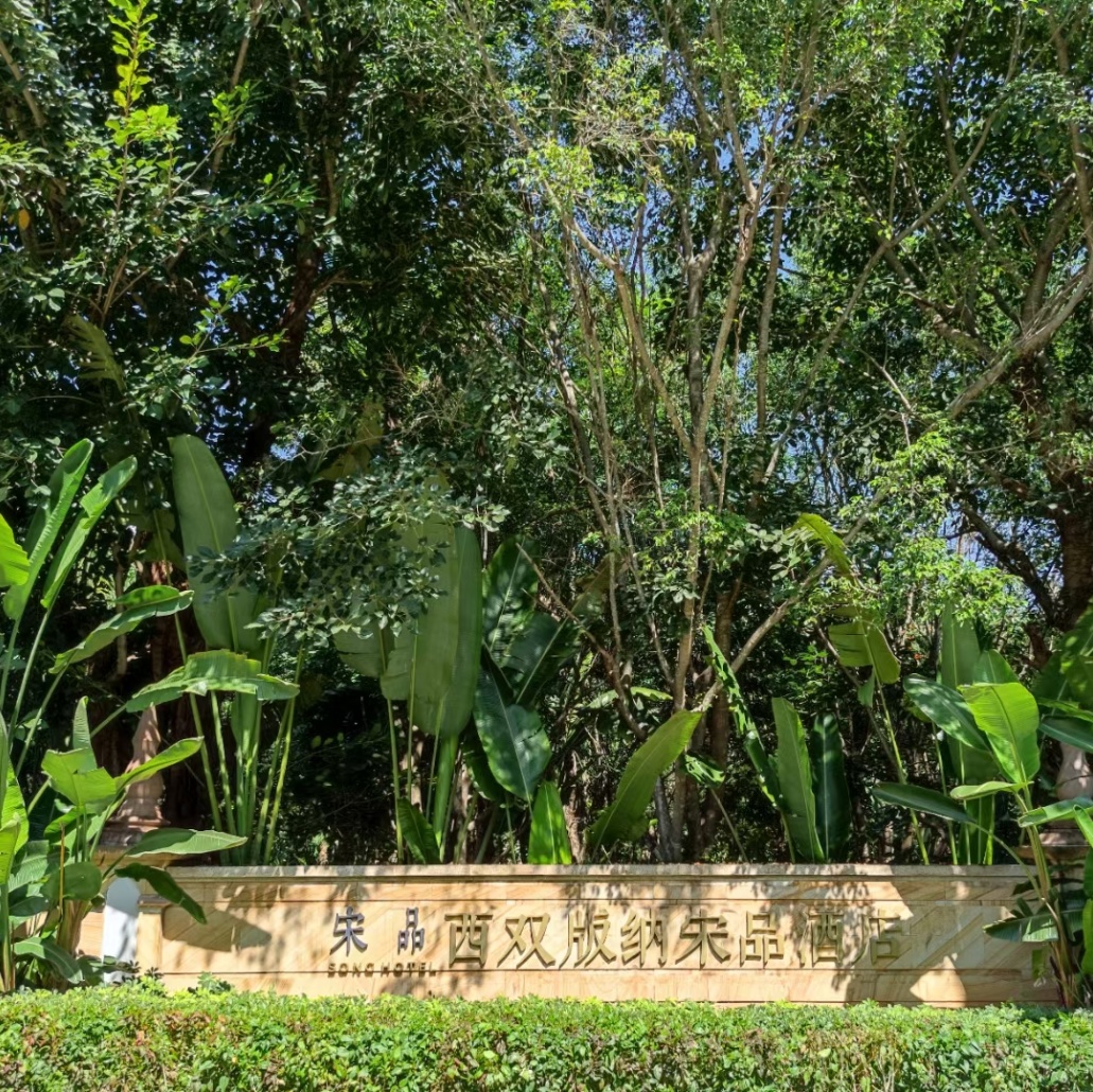 不走寻常路不走回头路,不走寻常路酒驾