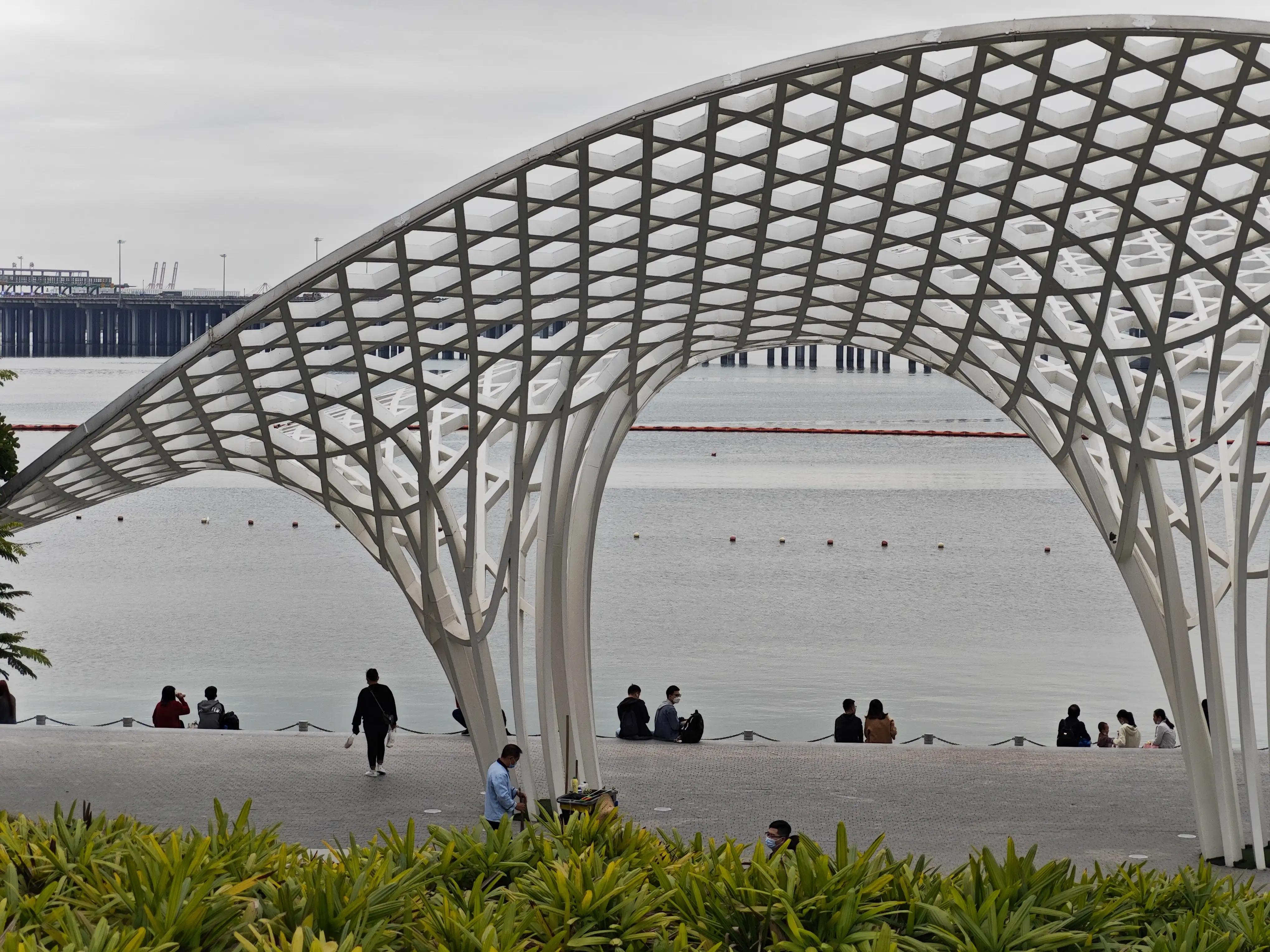 宝安滨海廊桥路线图,宝安滨海廊桥入口