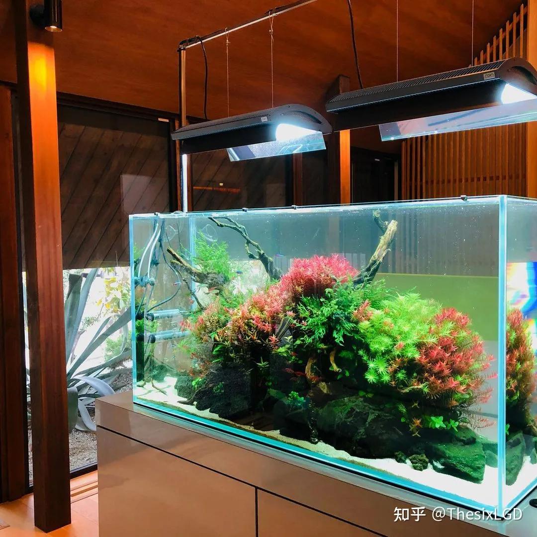 水景前景怎么样,水景前景