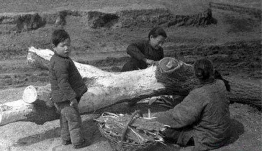 60年女运煤工目睹老家饿死人,孤身进京反映问题,却2次判刑坐牢