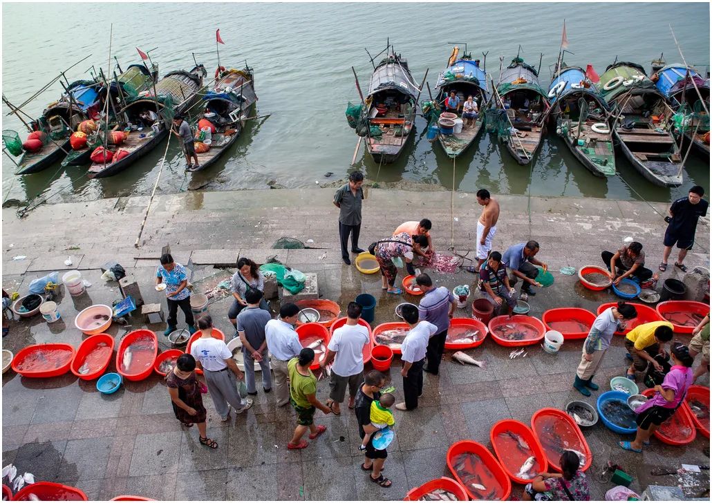 中国摄影艺术展获奖作品,北京国际摄影节获奖作品
