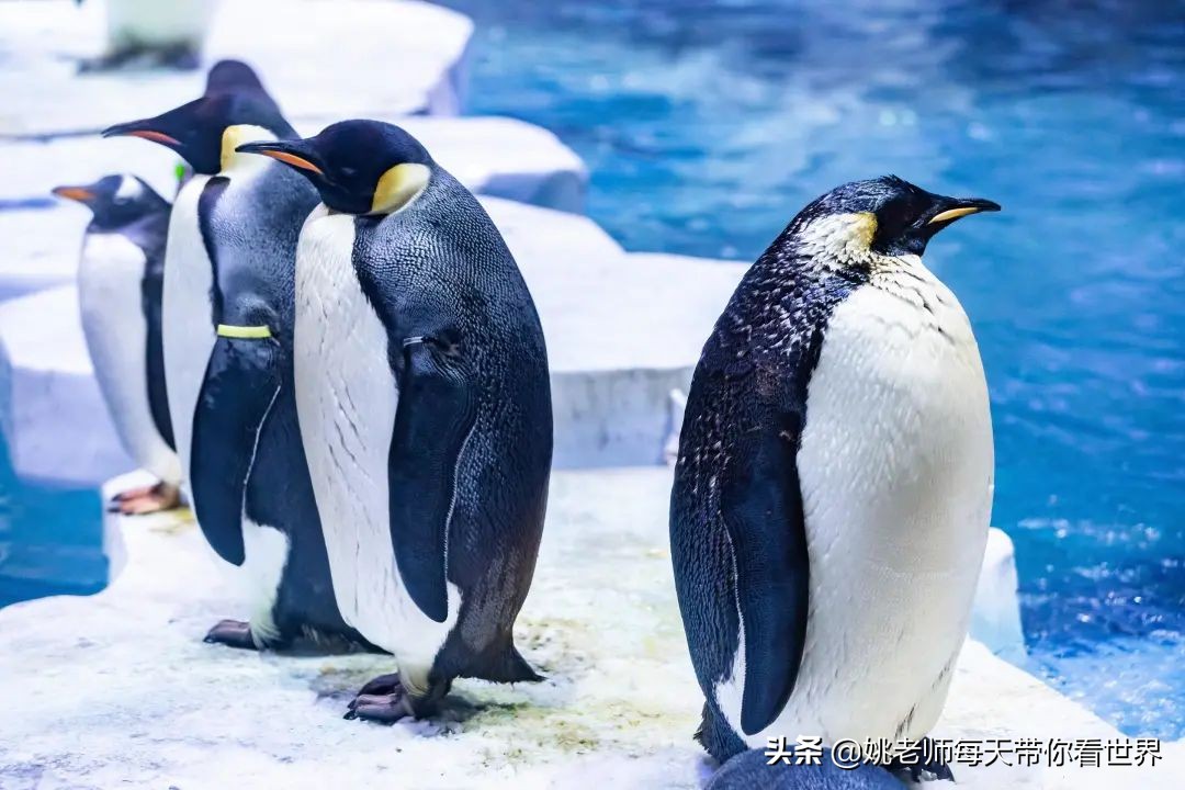 春节上海亲子游乐攻略,上海亲子游乐去哪里