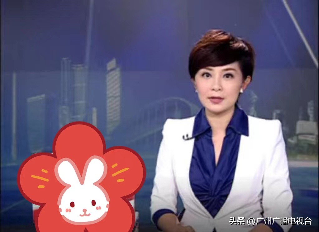 广视新闻回放,广视新闻同步直播