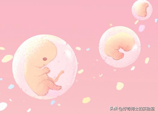 精子进入人体1小时变化,精子进入人体24小时变化