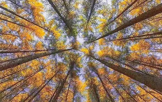 湖北恩施夏季热吗,湖北恩施人间仙境图片