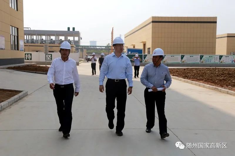 蝶变跃升五大行动,蝶变跃升