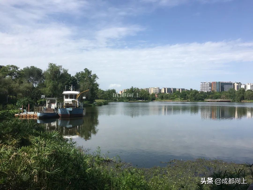 被吹爆的成都国际城南，居然没有拿得出手的体育场馆？