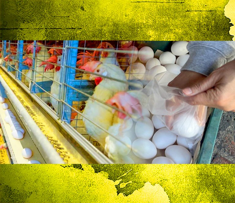 台湾消费者的「及时雨」?