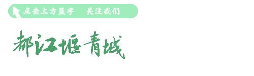 酒城泸州介绍,酒城泸州简介