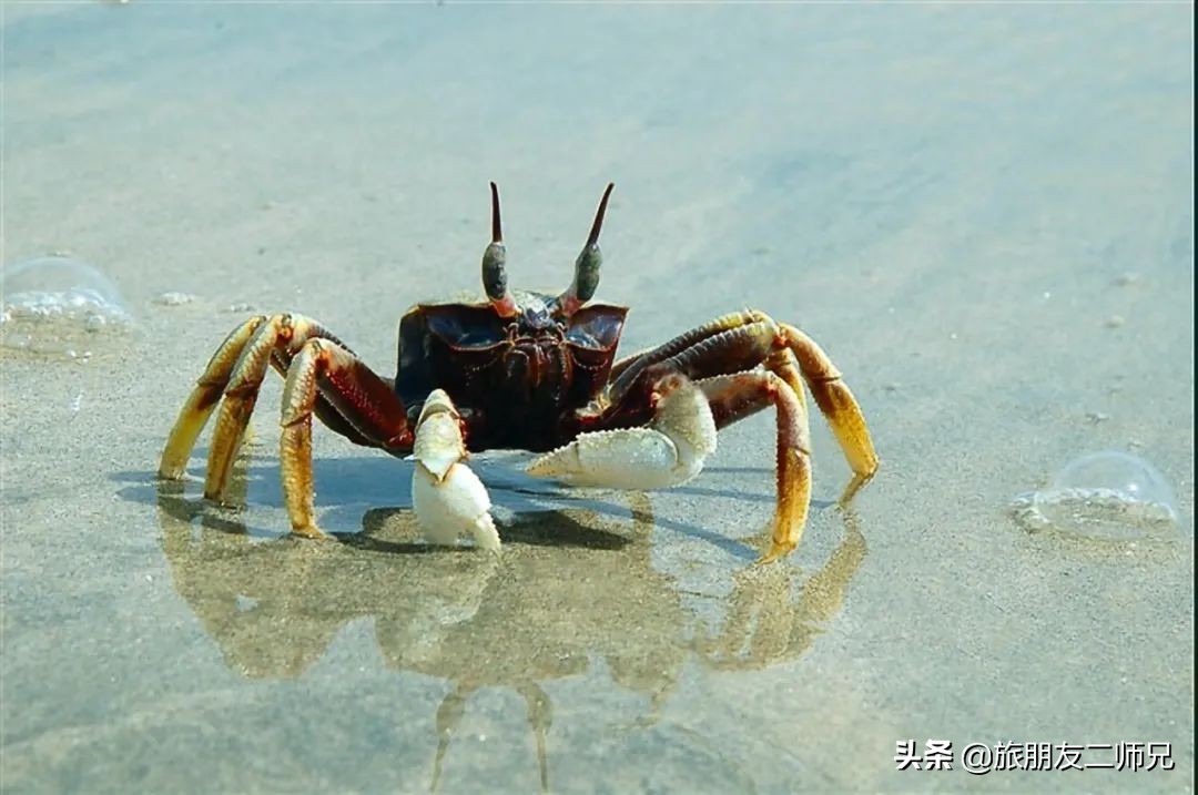 台山下川岛三日游旅游攻略自驾游,广州台山旅游攻略一日游最佳路线