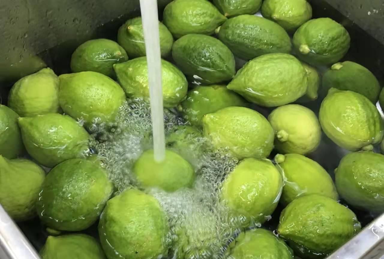 香水柠檬和柠檬的味道区别在哪,沁口香柠香水