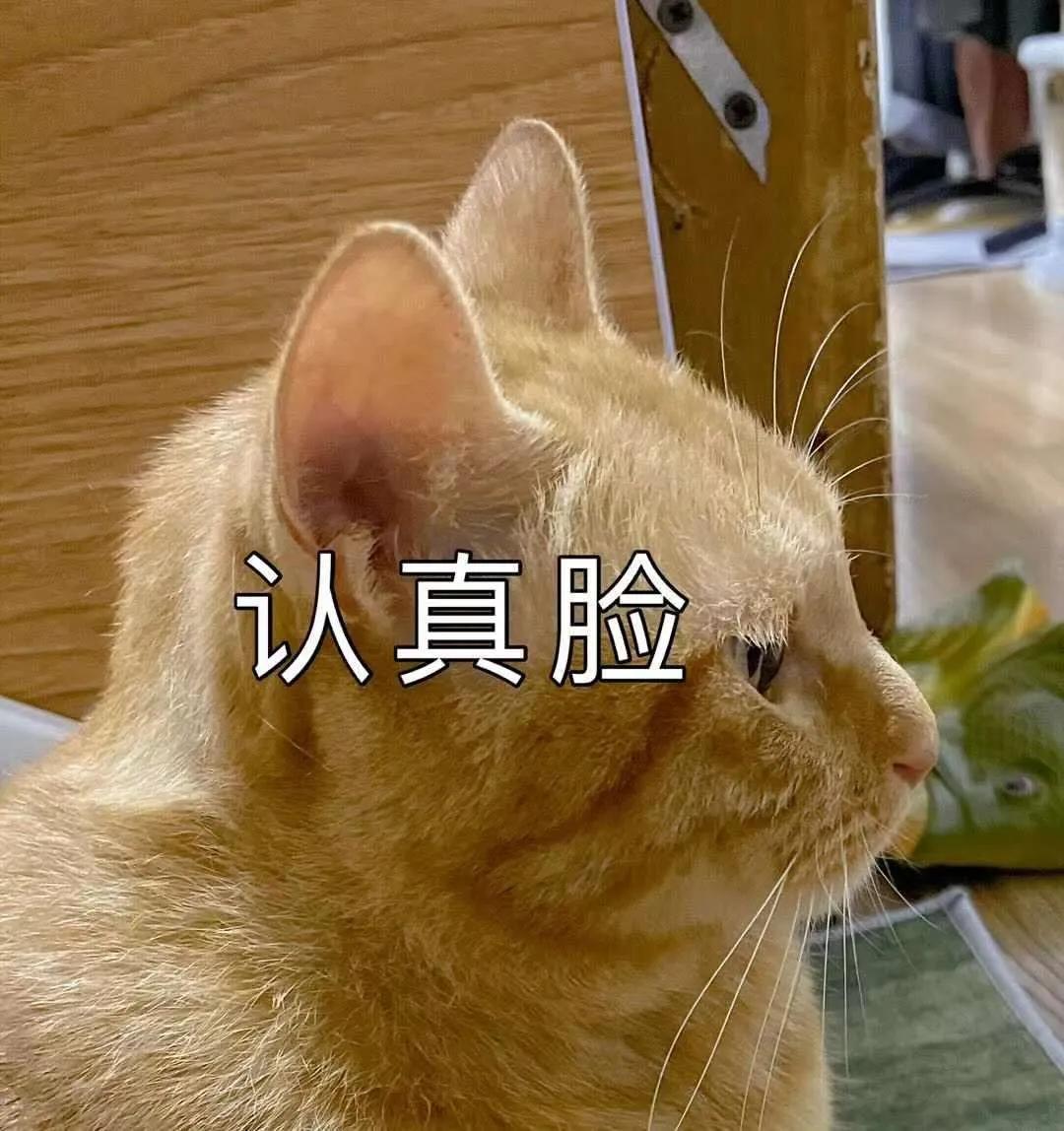 寒假期间实习有必要吗,寒假能实习一个月吗