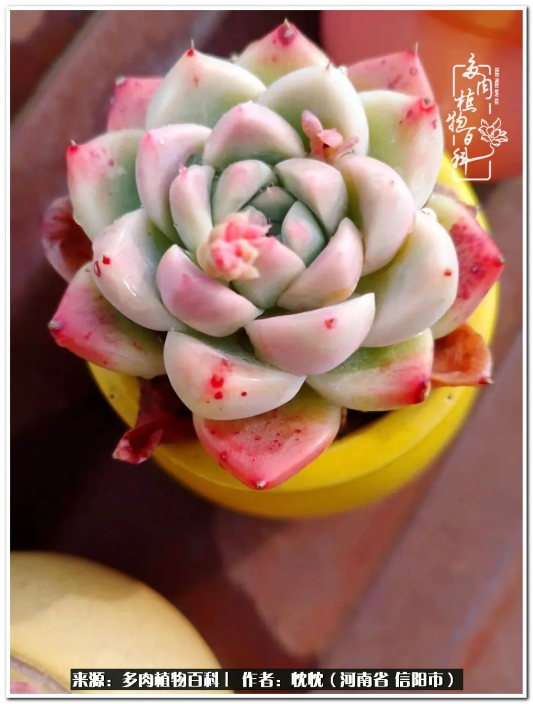 携一人白首择一城终老心之向往,携一人之手择一城终老图片