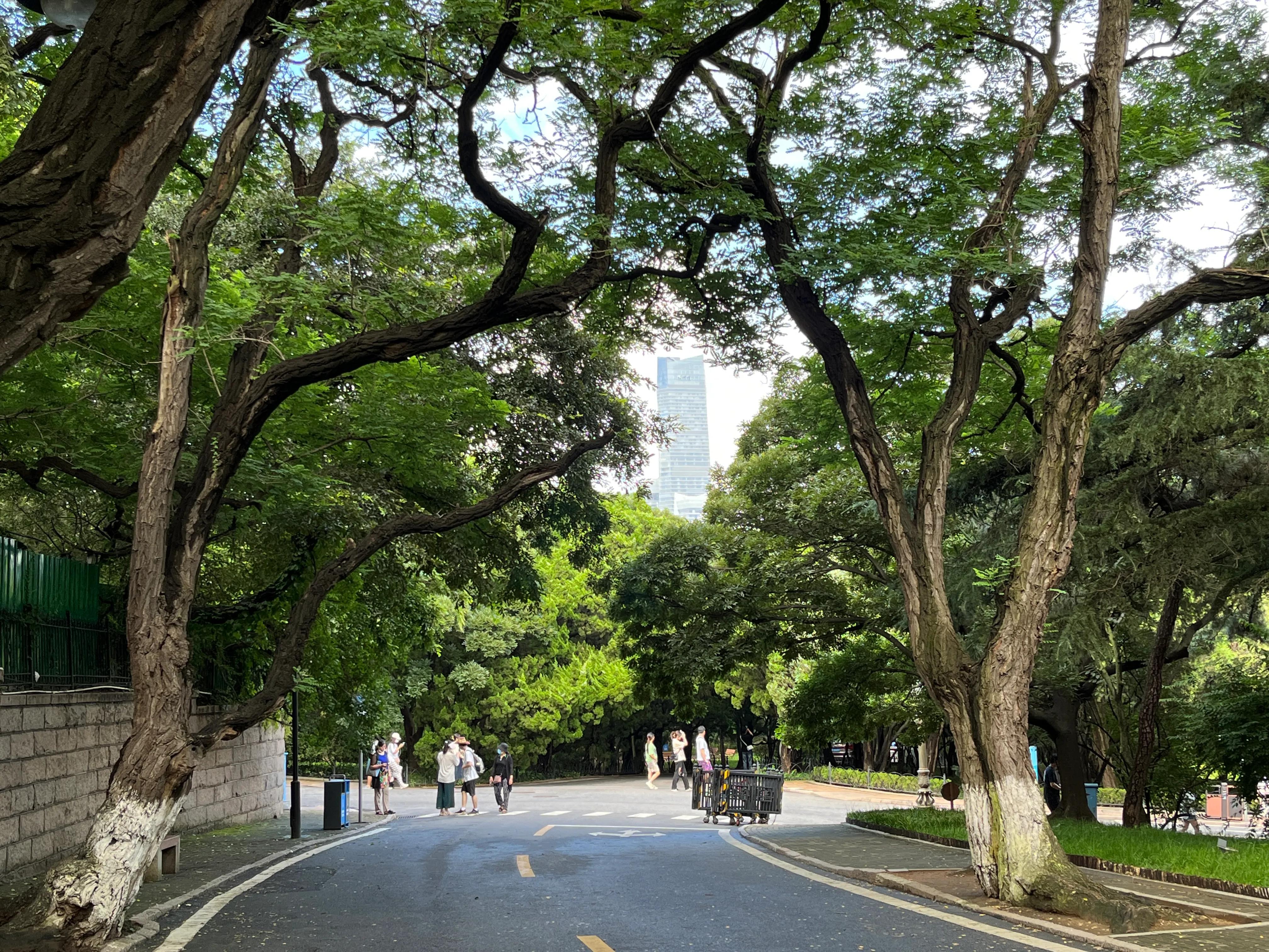 青岛市南区一星期旅游攻略,青岛红瓦绿树碧海蓝天