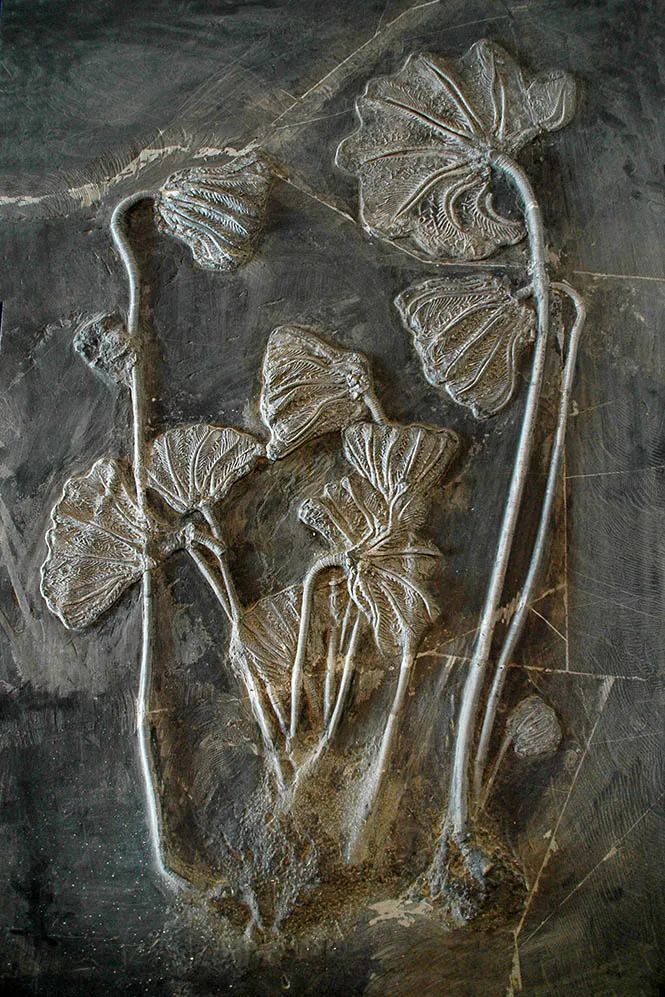 怎样快速认识中国地形山脉,怎么从头到尾了解中国的所有历史