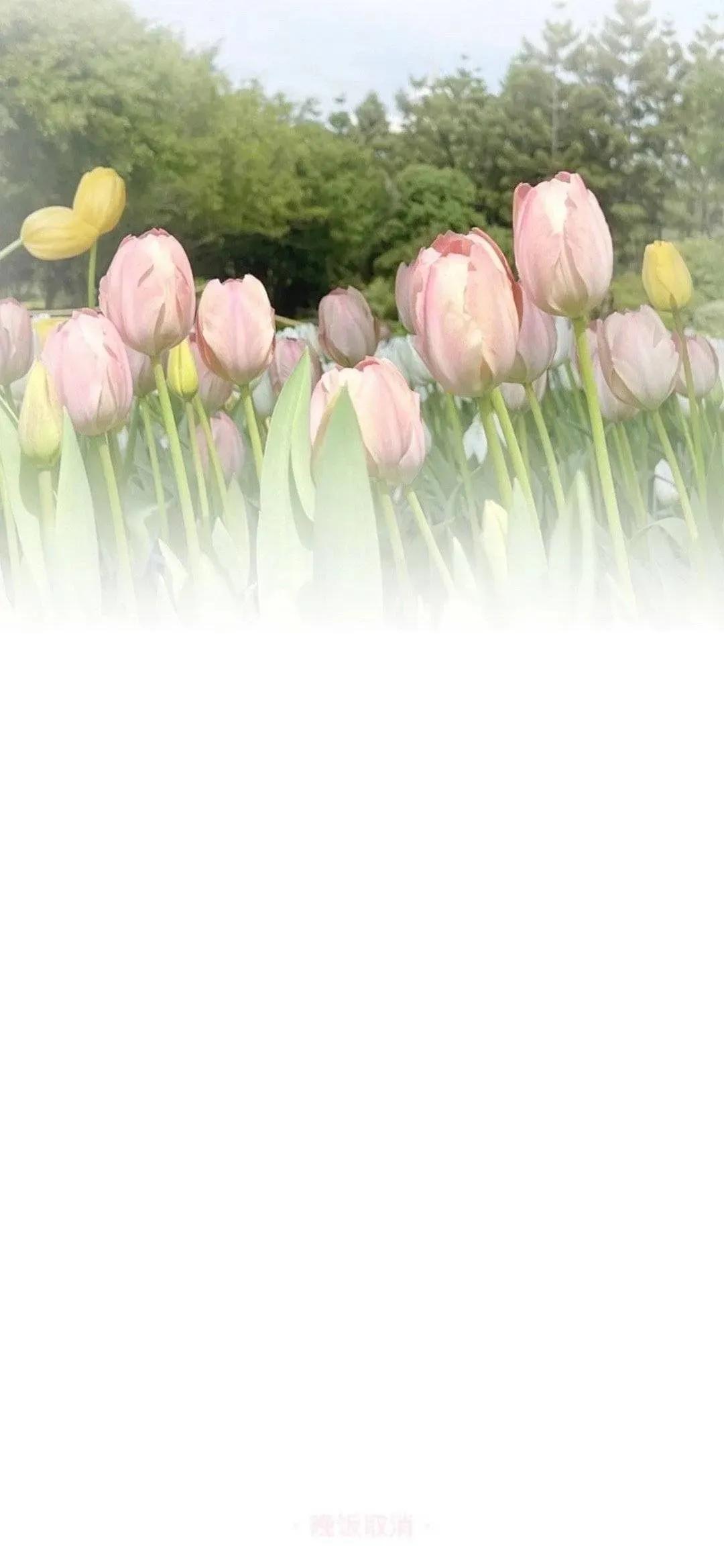 渐变晕染聊天背景图,渐变聊天背景图全屏可保存