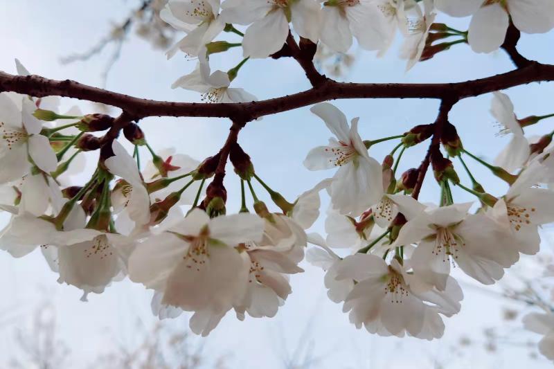 怎么应付控制欲强的人,控制欲强的人心理分析