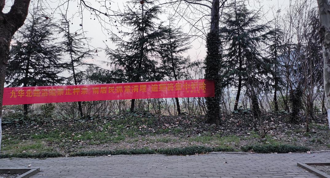 又是一年春来到处处美景,又是一年春来到图片