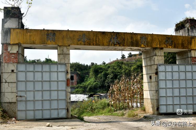 南峰心声,南峰情头