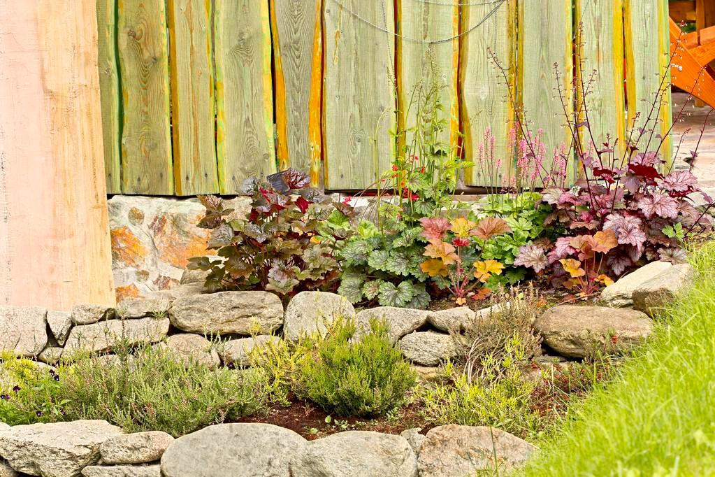 室外冻不死的十种花草,零下30度冻不死的露台植物