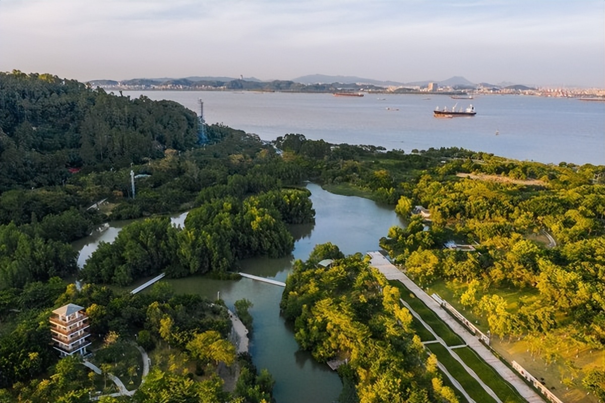 湾区光影魅力,南沙湾区超美风景线
