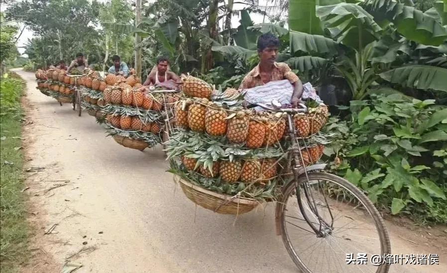 孟加拉国的现实生活,孟加拉国是女多男少的国家吗