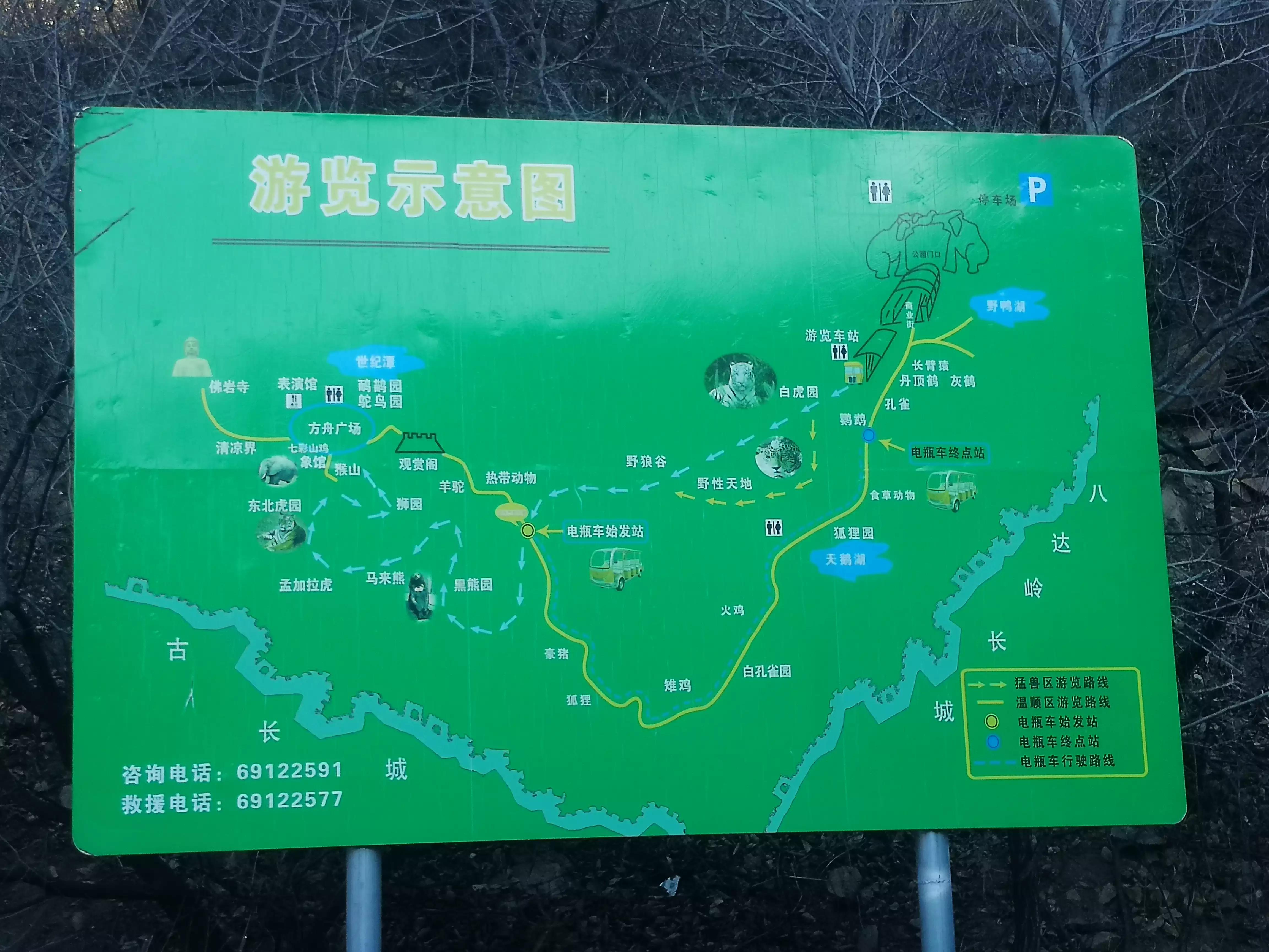 八达岭野生动物园赵菁,八达岭野生动物园门票收费标准