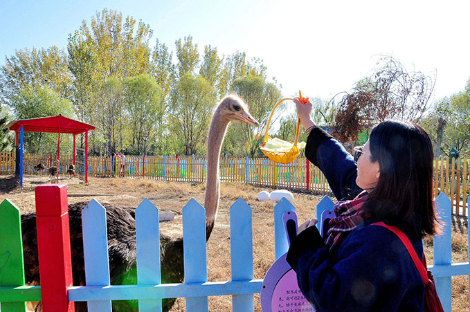 萌宠乐园加盟10大品牌,萌宠乐园加盟合作条件