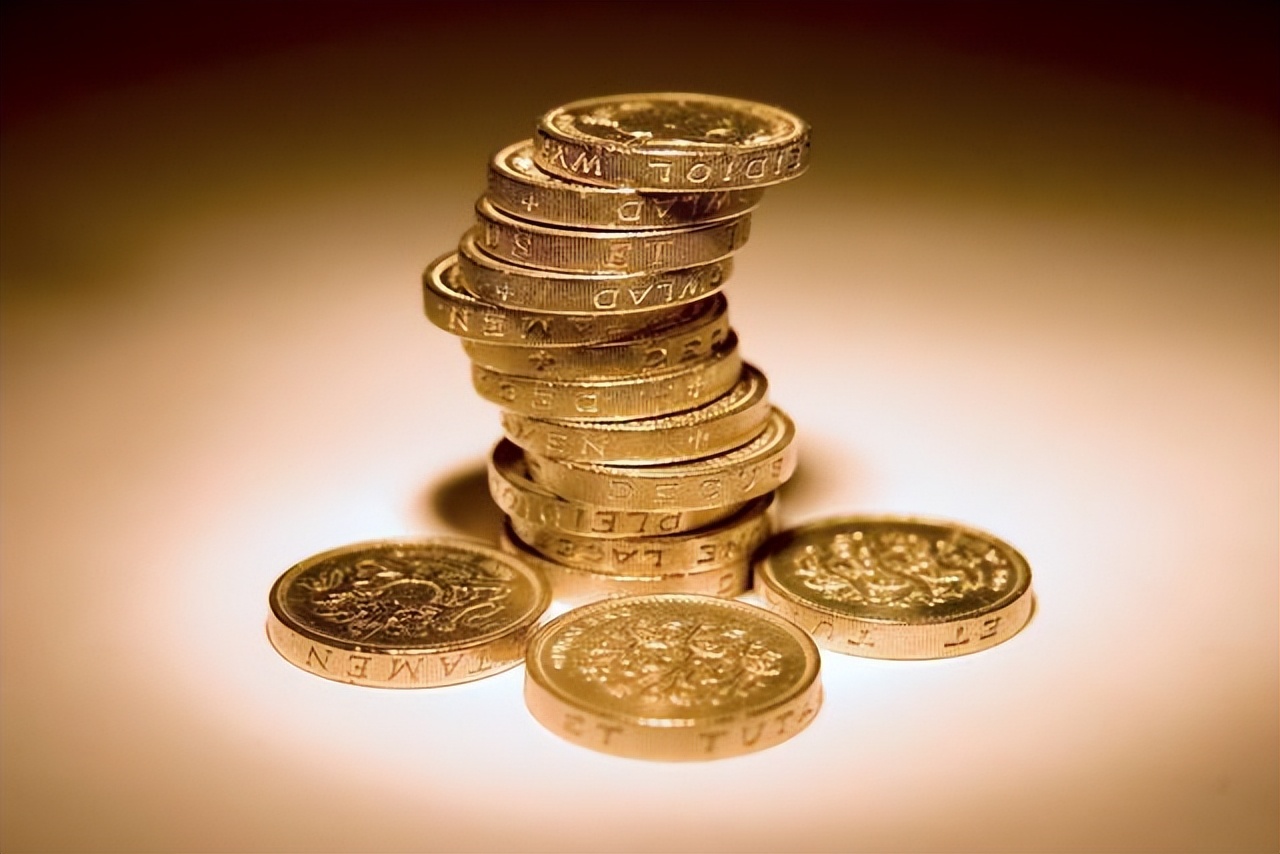 鼎足龟粮与海豚龟粮哪个更好,适合所有水龟食用的龟粮