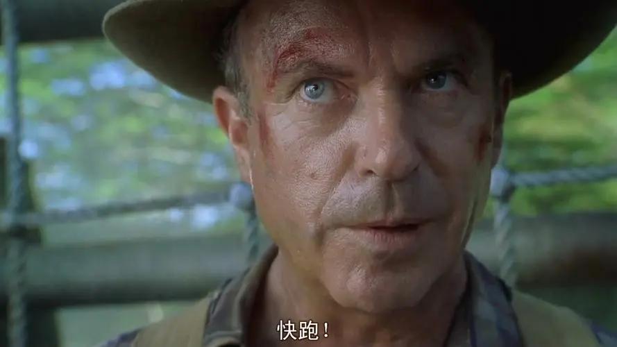 恐龙智慧大逆袭！揭示速龙的秘密语言，挑战人类与自然的和谐平衡