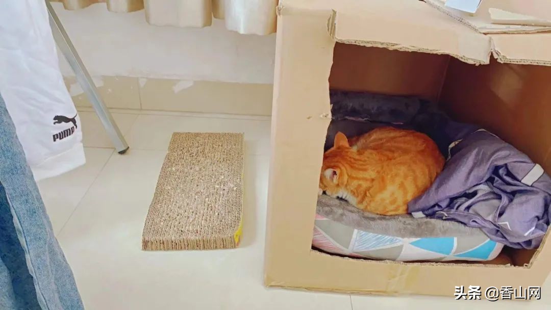 每天去澳门上班的珠海人,工作在澳门住在珠海累吗