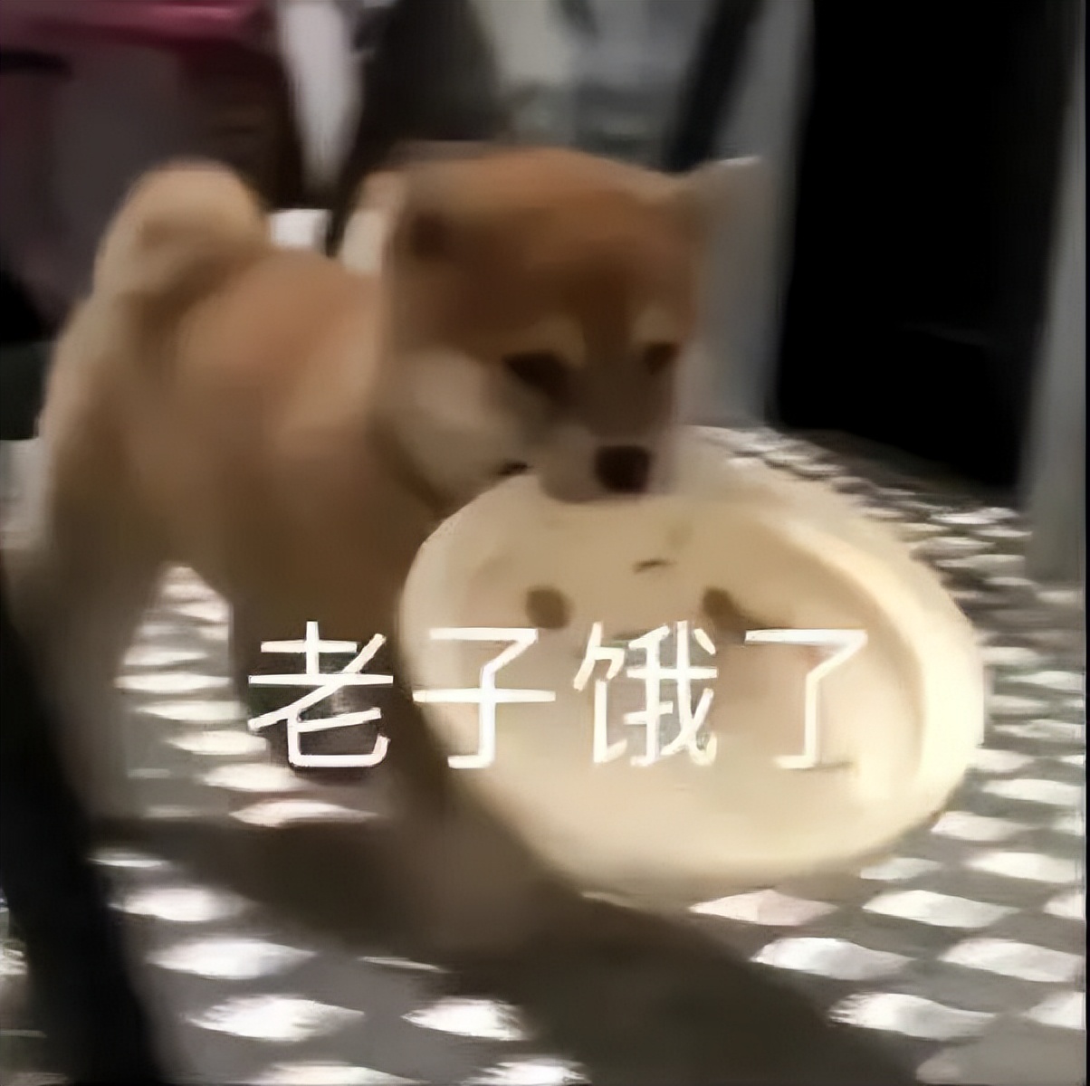 朝天门美食批发市场盒饭,朝天门批发市场美食推荐