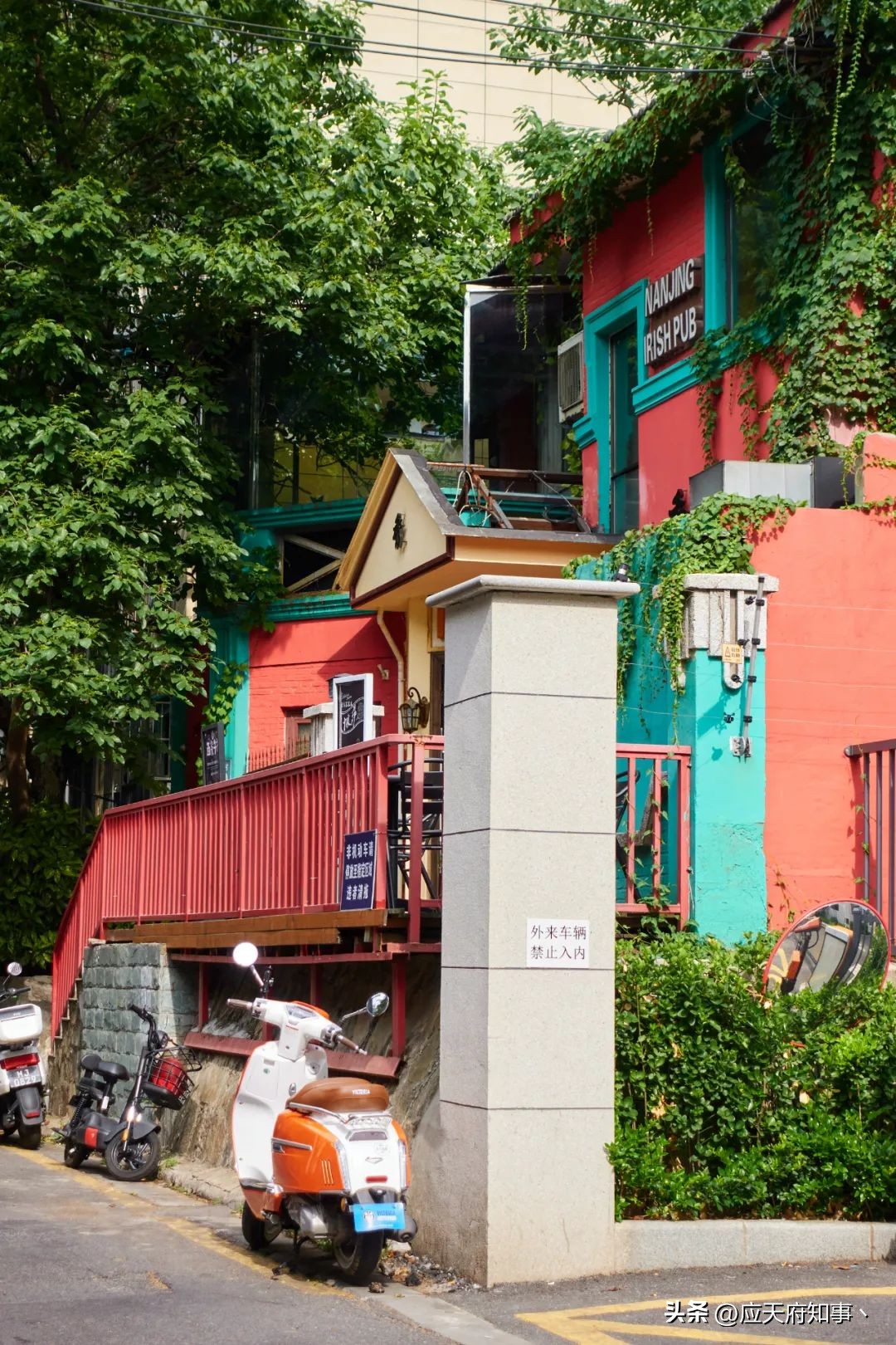南京大学好吃的美食,南京大学校园里有哪些美食