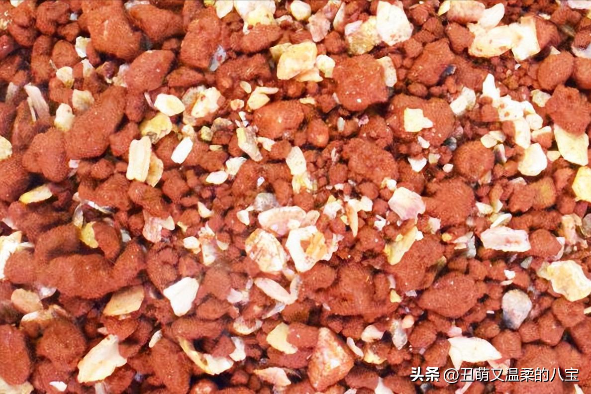 虎皮鹦鹉缺钙有哪些现象,鹦鹉走路一瘸一拐