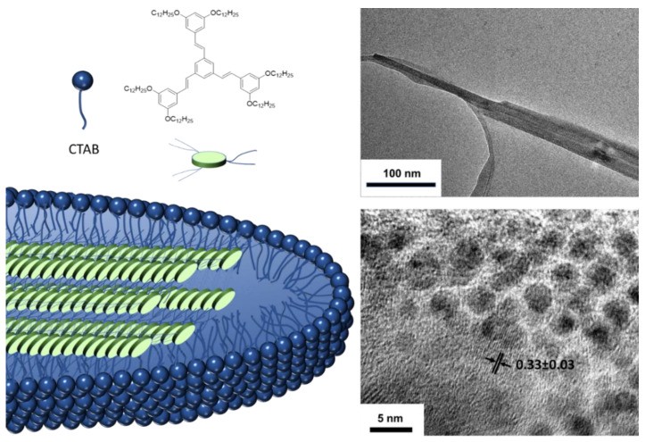 共轭聚合物的结构特点,共轭聚合物