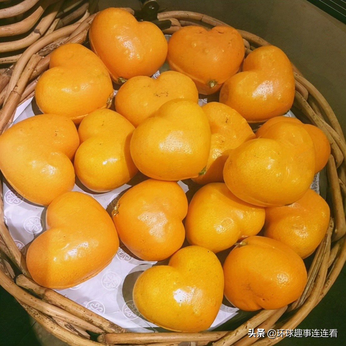 10张让人颠覆的图片,5张让人震撼的图片