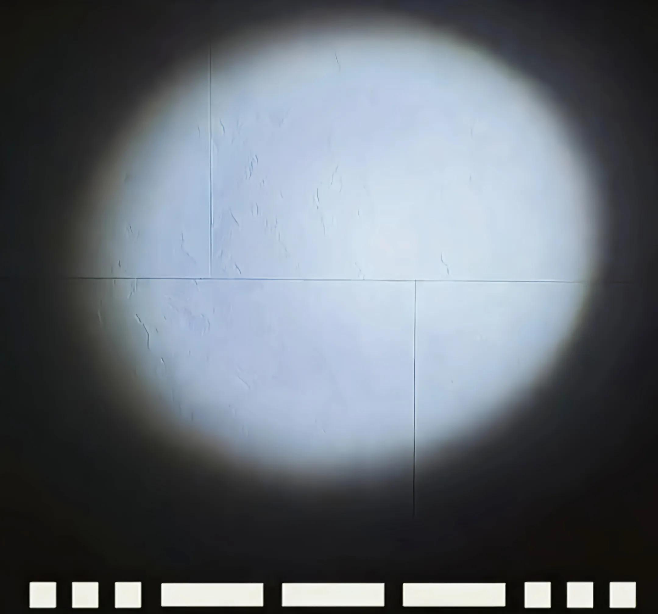 生活小窍门枕套发黄怎么办,枕套睡久了黄渍怎么洗