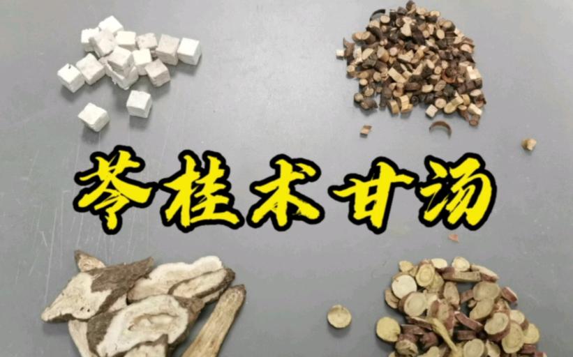 脱发中医开祛湿气的药,脱发祛湿补气血吃什么药