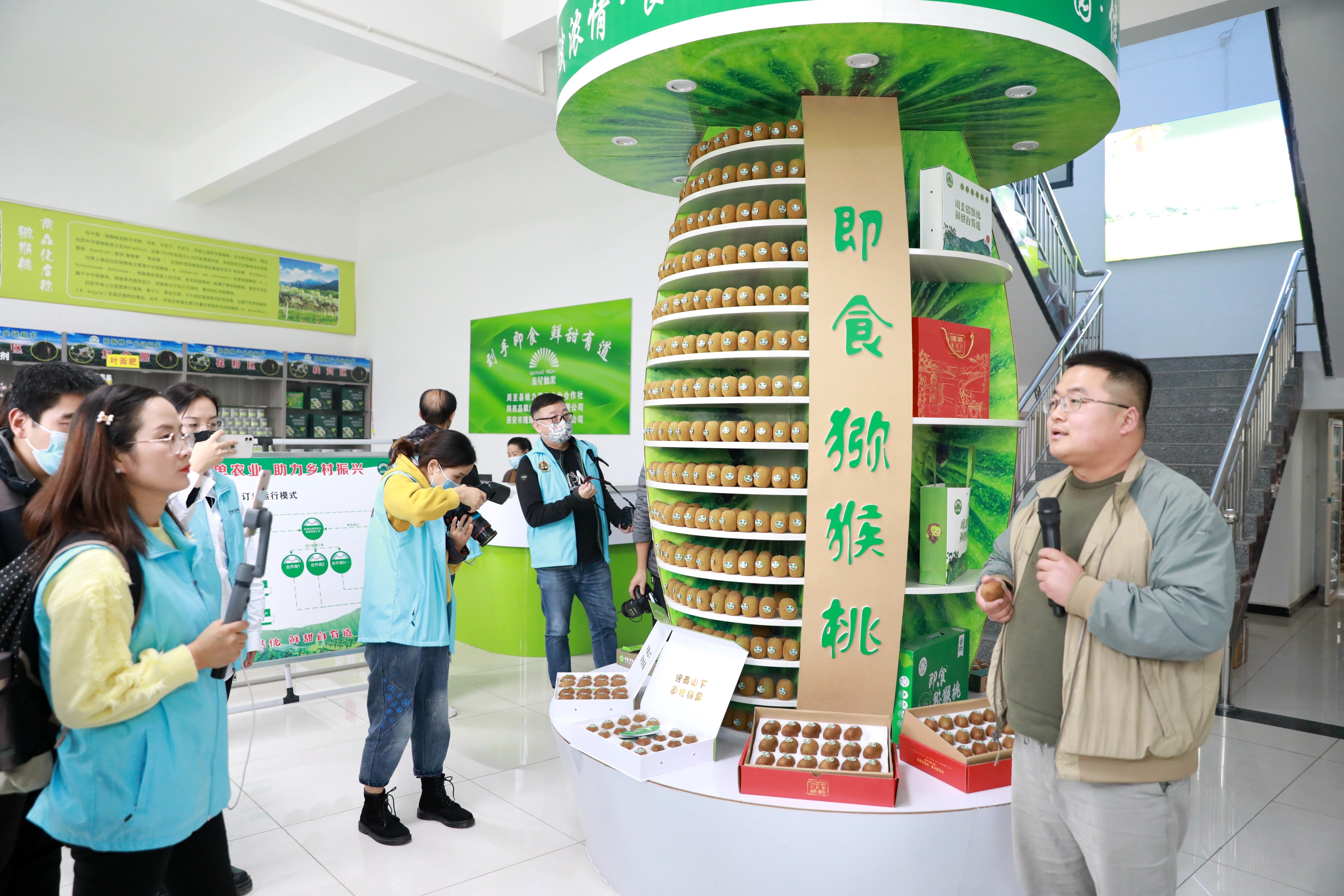 陕西周至猕猴桃哪种最好吃,陕西的猕猴桃是什么季节吃的