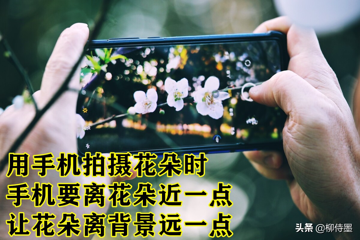 拍摄梅花多重曝光的技巧,拍摄梅花用什么镜头最好