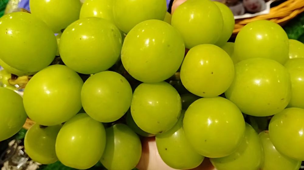 水果店怎样摆放吸引顾客,开水果店陈列应该怎么摆放