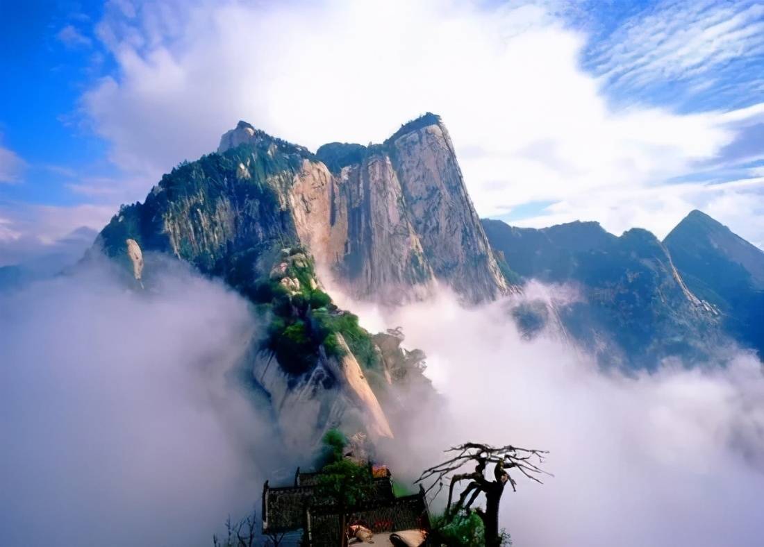 怎样区分厂家和代理,怎么区分源头厂家