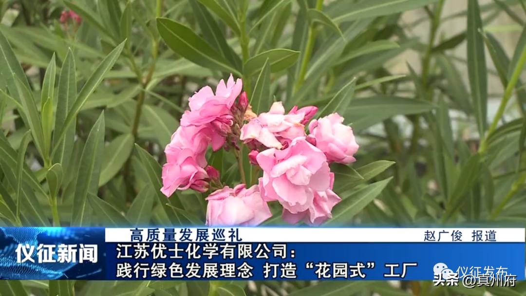 扬州优士化学有限公司,江苏优士化学有限公司生产什么