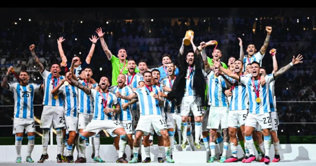 卡塔尔世界杯期待过程艰辛,卡塔尔世界杯回忆集锦