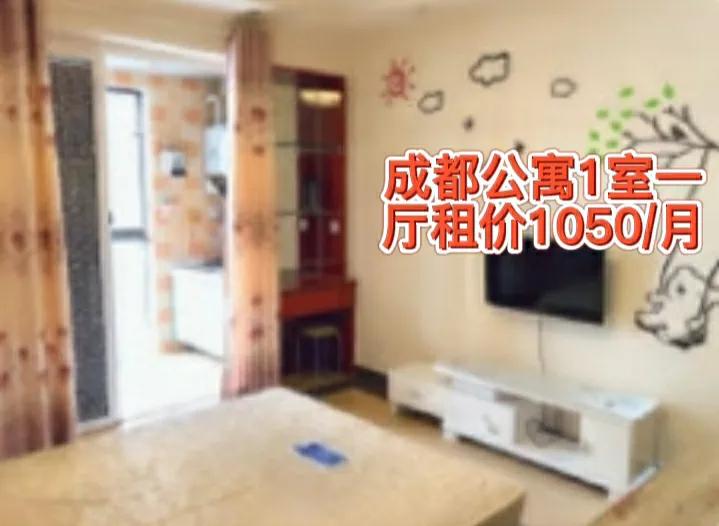 成都高新区哪个公寓值得投资,成都公寓投资价值排名