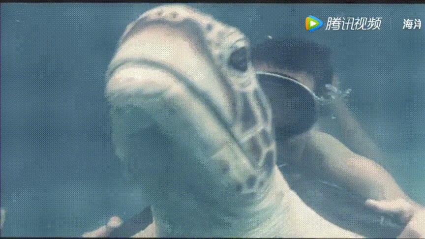 星星的孩子带你走进自闭症,星星的孩子自闭症儿童案例