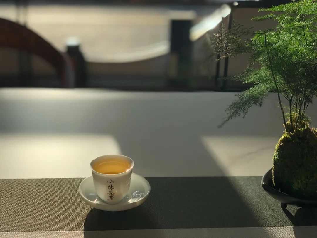 白茶是绿茶为什么叫白茶呢,白茶绿茶红茶青茶是怎么划分的